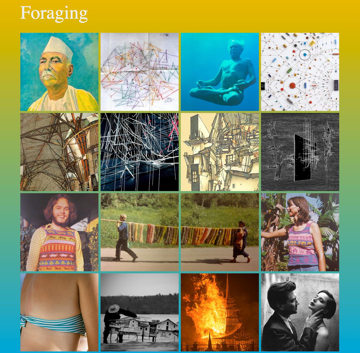 Foraging image curation